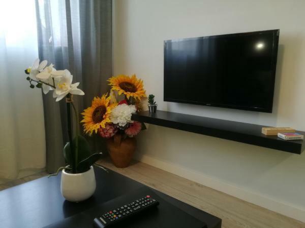 Iris Apartment Pombal  Eksteriør bilde