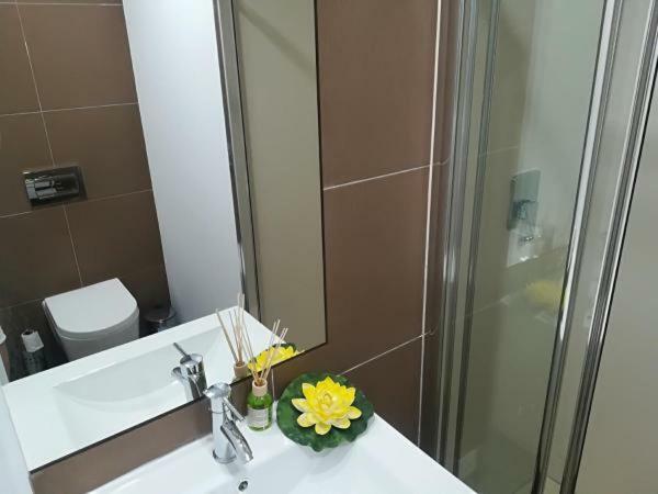 Iris Apartment Pombal  Eksteriør bilde
